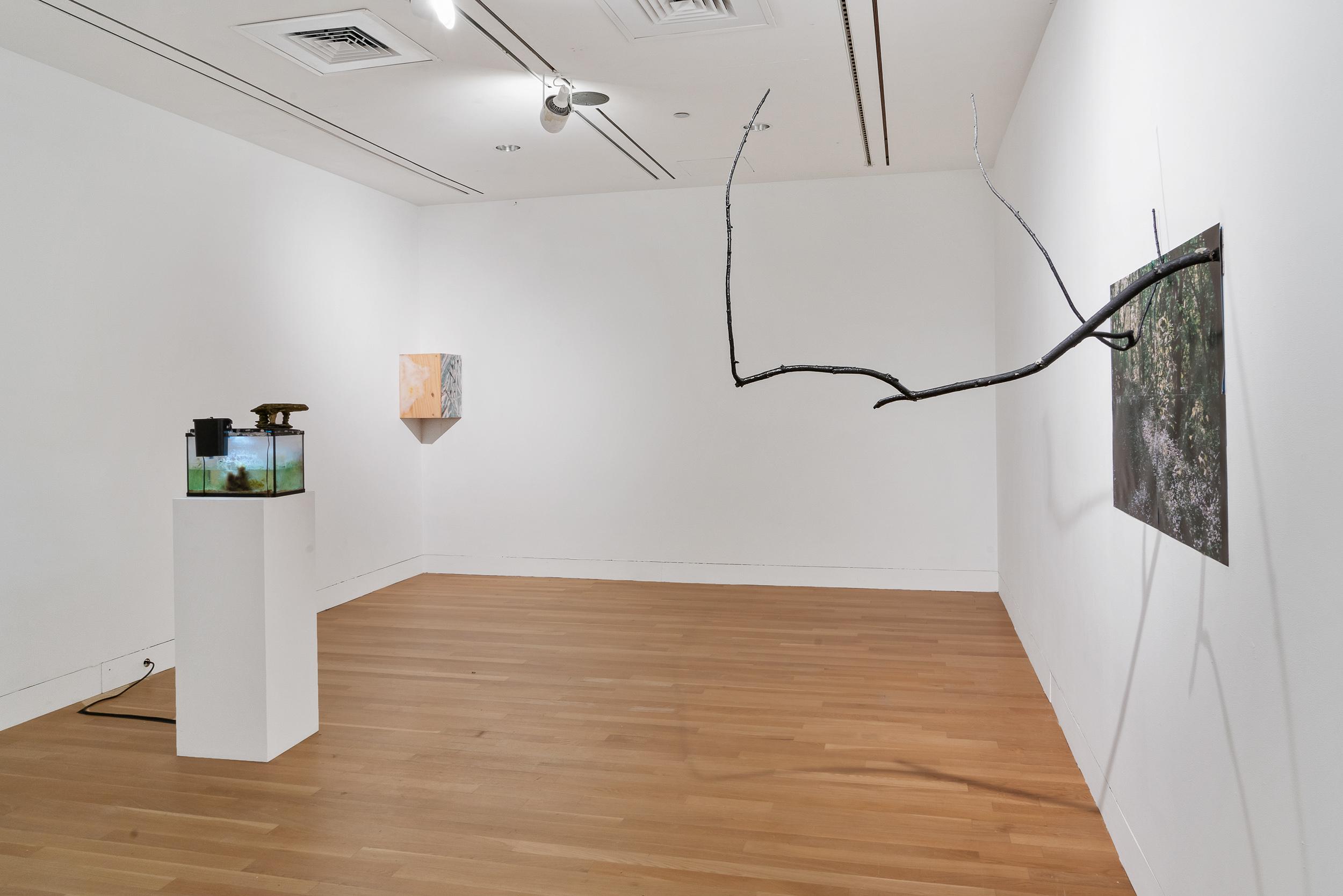 Gallery installation view