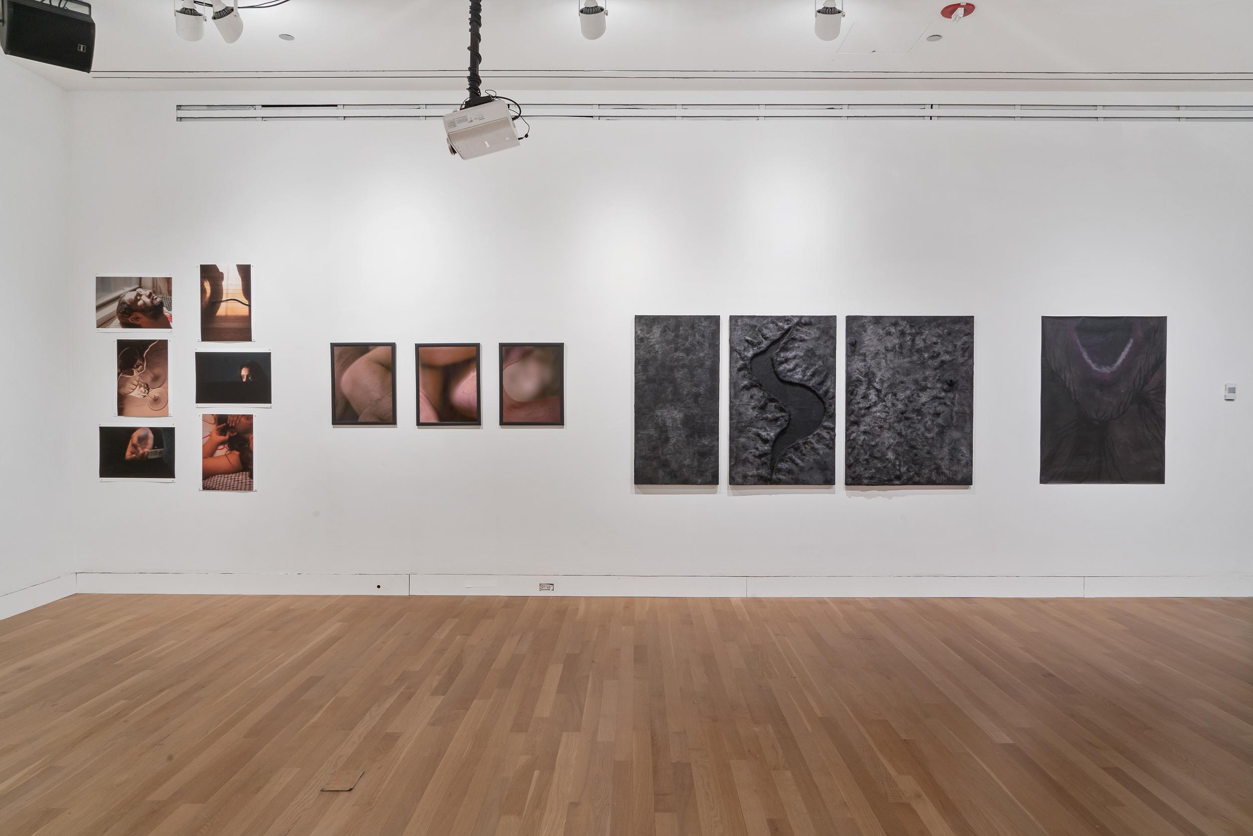 Gallery installation view
